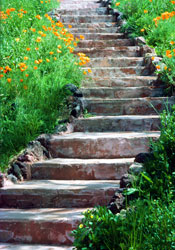 Transition: Stone steps leading upwards